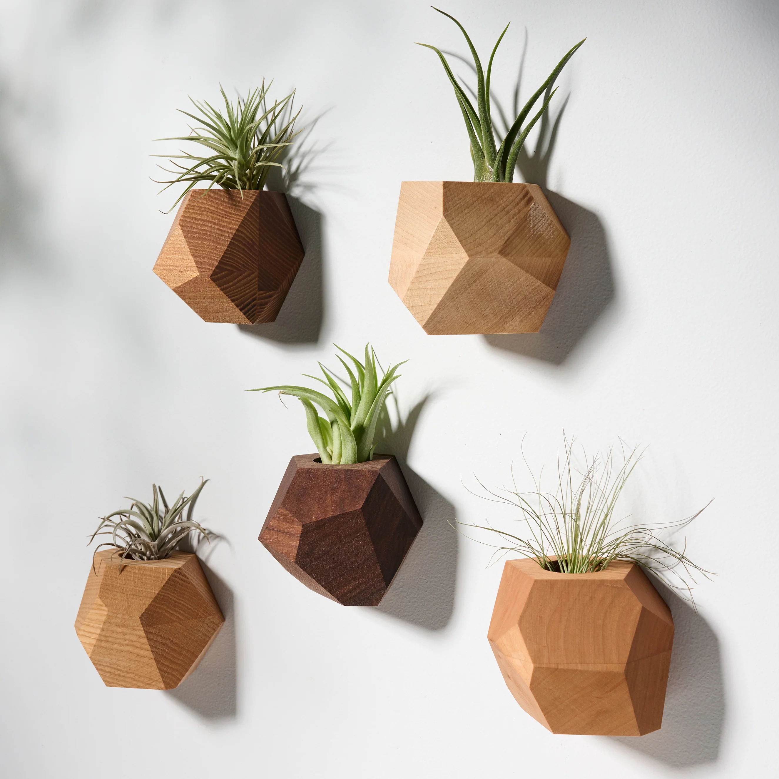 GEORGIA Bundle Set of Five