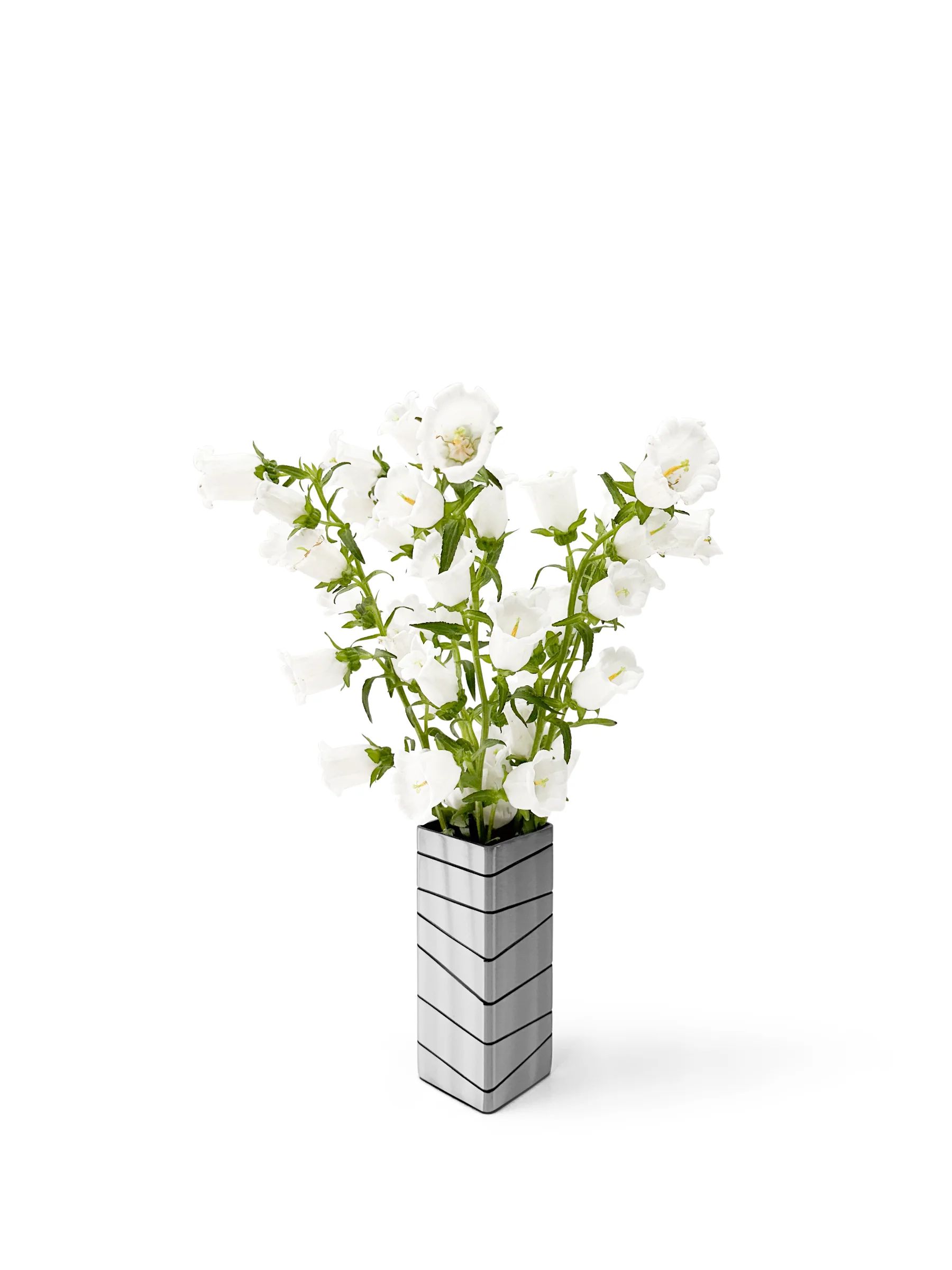 Etched Steel Flower Vases 2