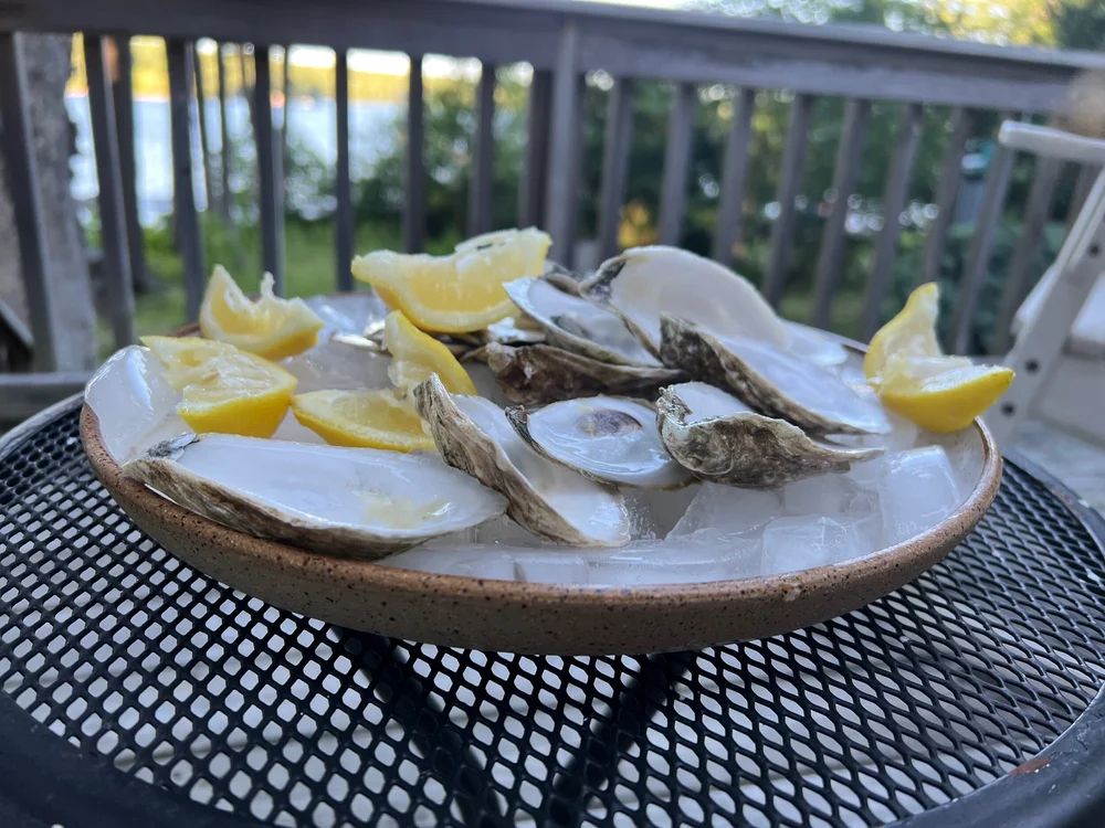 Serving Platter with Lip 3