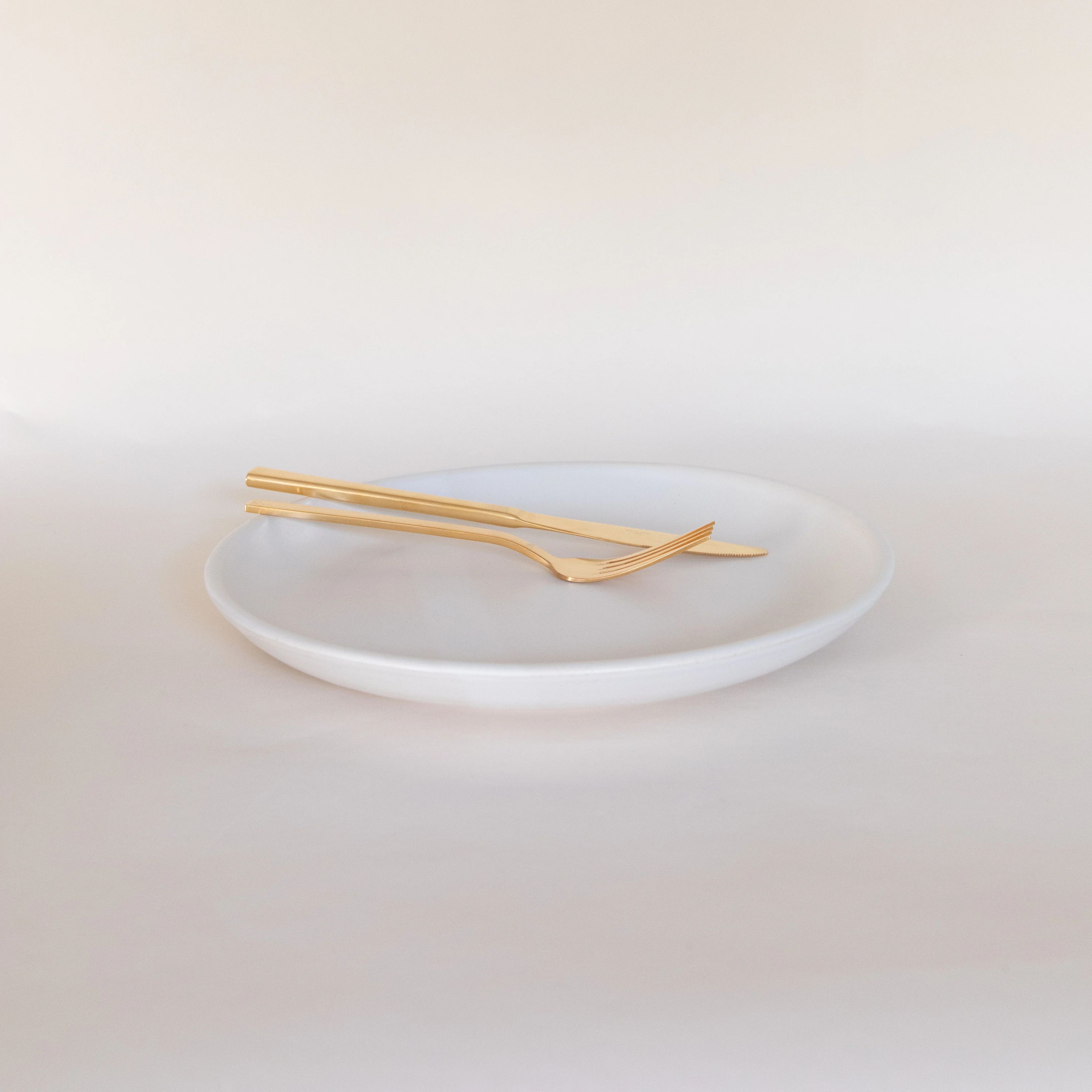 Dinner Plate 4