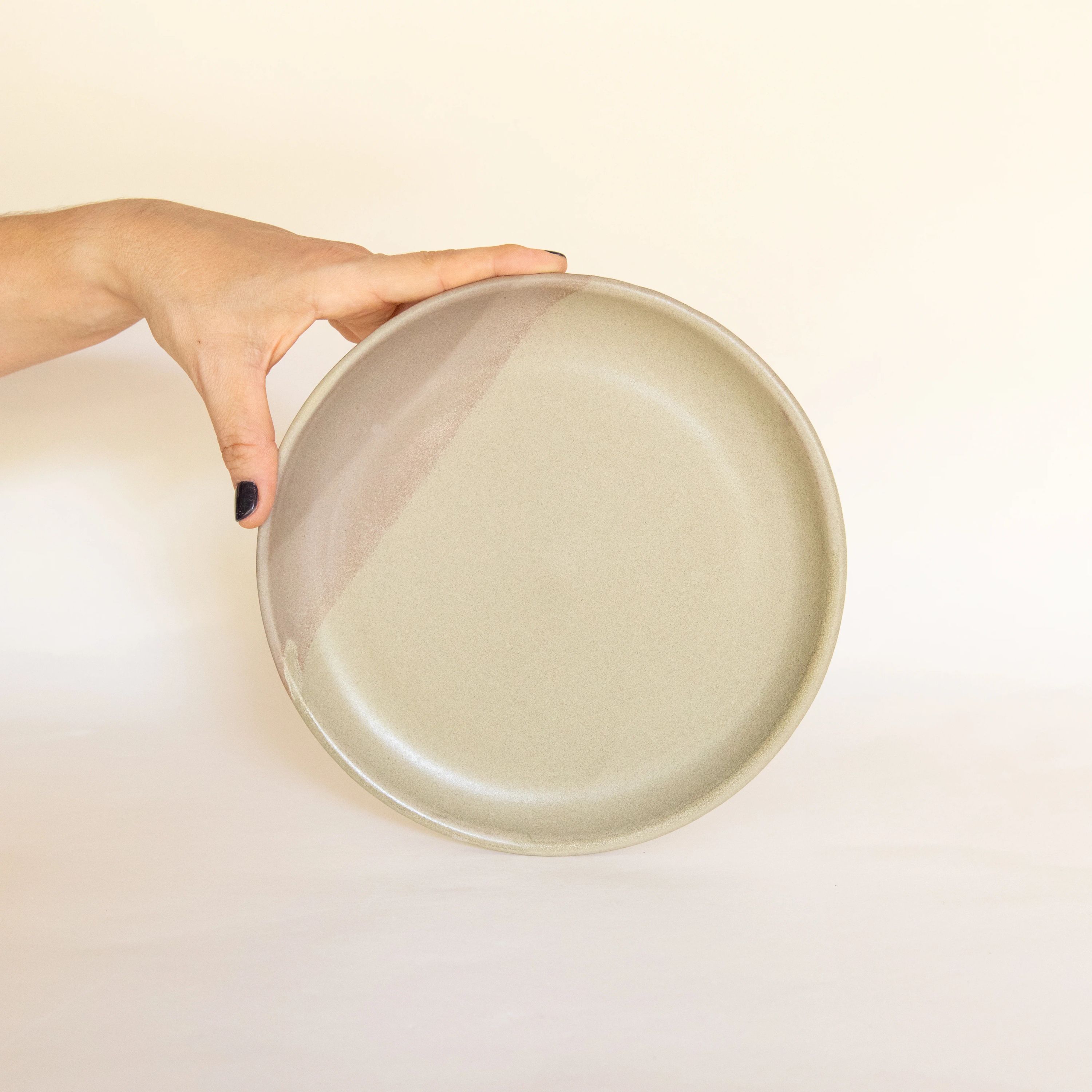 Lunch Plate 5