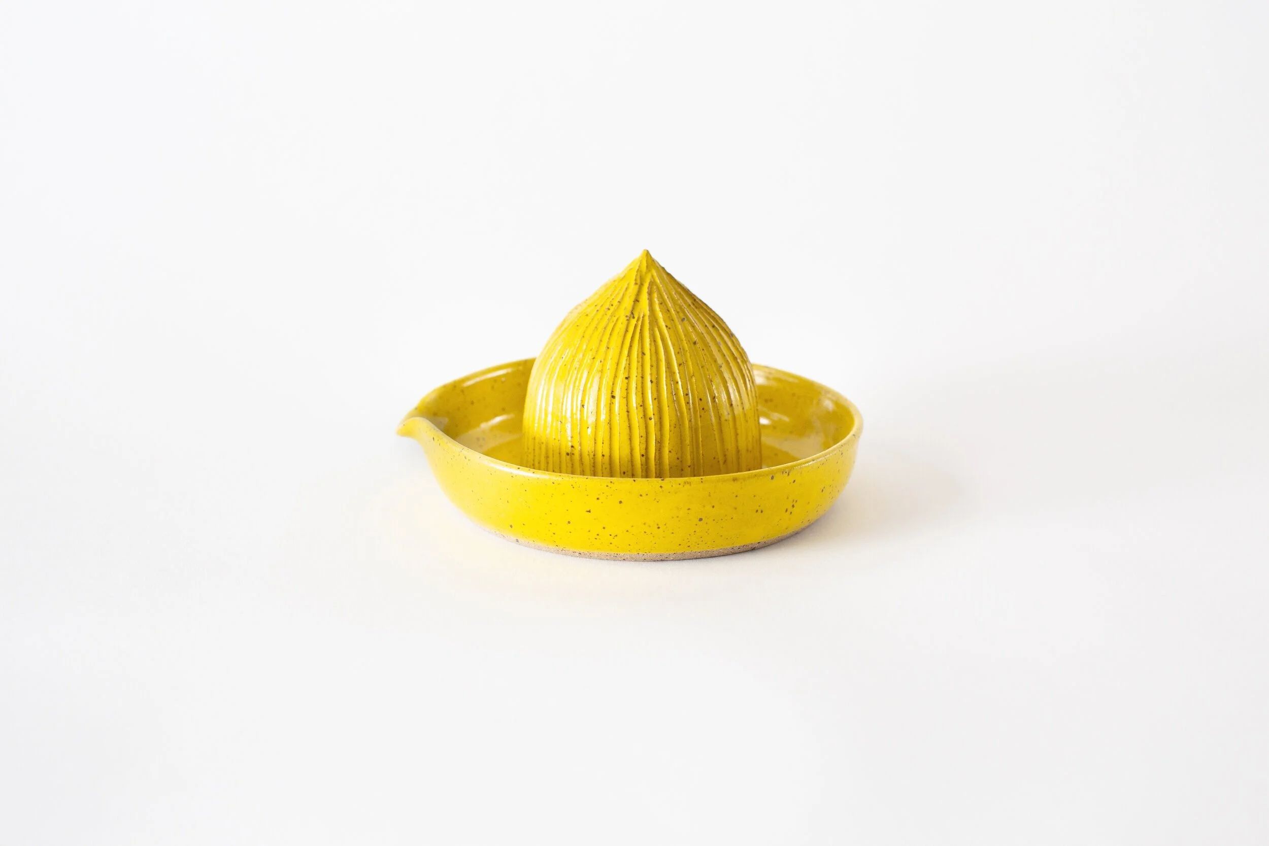 Citrus Juicer by RachaelPots