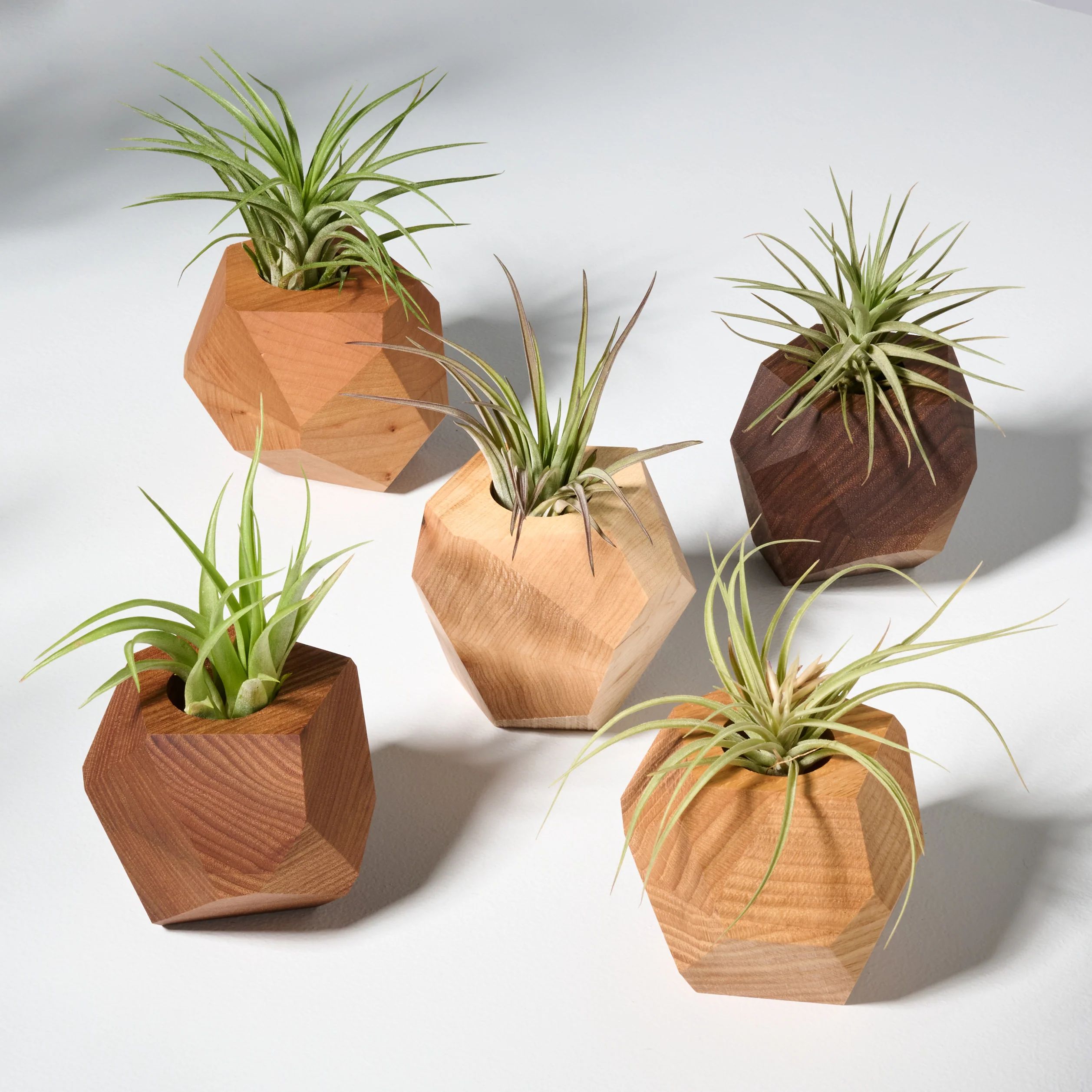 GEORGIA Bundle Set of Five 3