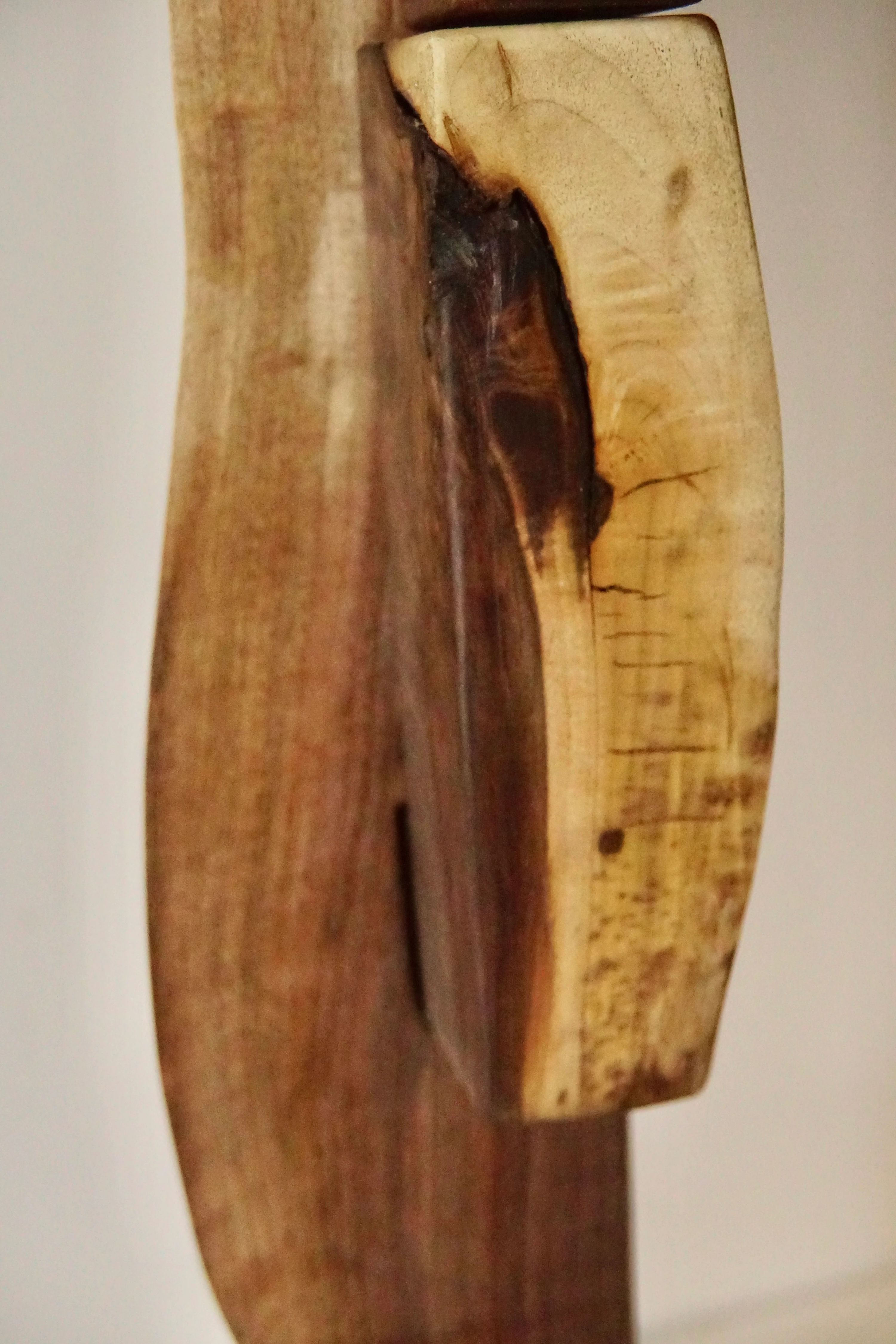 Black Walnut Totem 5